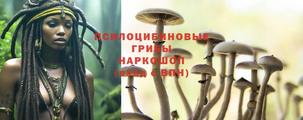 а пвп мука Алексеевка