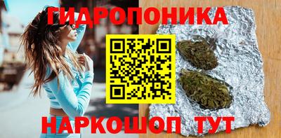 spice Ачхой-Мартан