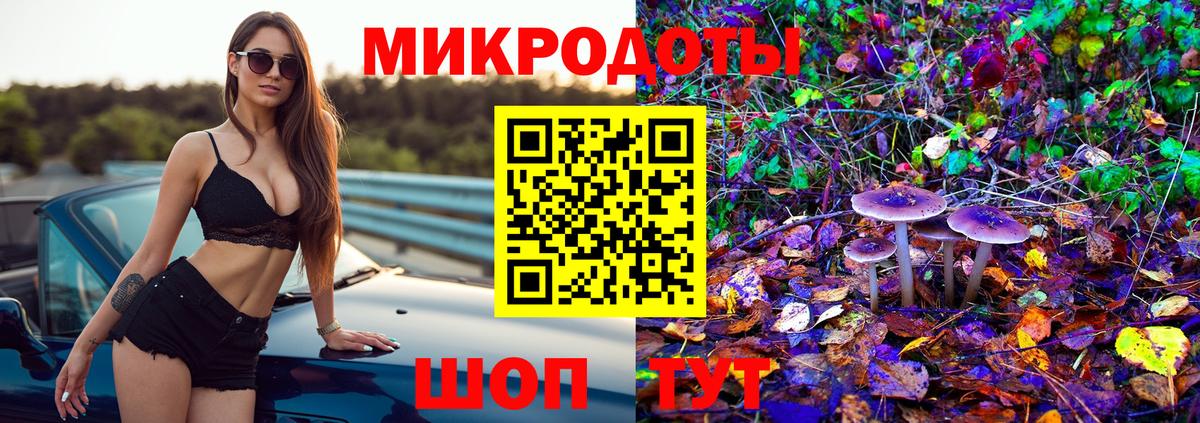 Псилоцибиновые грибы Cubensis Апрелевка